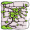 ivy