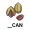 pe