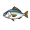 tuna