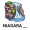 falls
