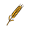 wheat
