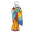 sari