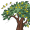 wind