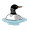loon