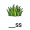 gra