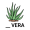 aloe