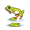 leap