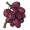 palm