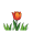 uli