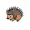 porcupine