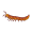 centipede