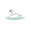 swan