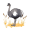 emu