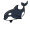 orca