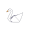 swan