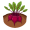beetroots