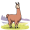 llama