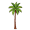 palm