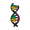 dna