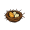 nest
