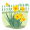 daffodils