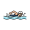 swim