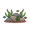 rocks