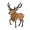 stag