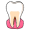 tooth