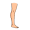 leg