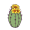 cac