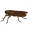 ric