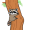 raccoon