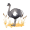 emu