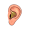 ear