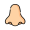 nose