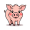 swine