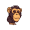 ape