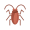 cockroach