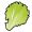 lettuce