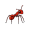 ant