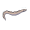 eel