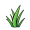 grass
