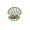 clam