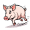 swine