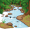 creek
