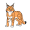 lynx