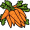 carrots