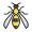 wasp