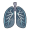lung
